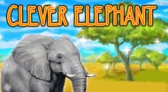 Elephant Protection Game